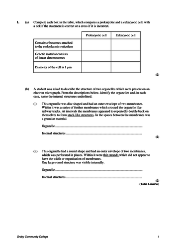 2024 Exam 212-82 Simulations, Study 212-82 Group | Valid Certified Cybersecurity Technician Test Objectives