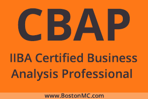 Test CBAP Questions Answers | IIBA Practice Test CBAP Fee