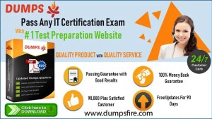 PL-200 Practice Exam Online, Microsoft New PL-200 Test Camp