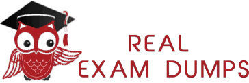 ITIL Real ITIL-4-Foundation Questions & New ITIL-4-Foundation Exam Dumps