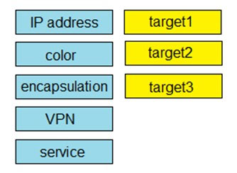 Latest 300-415 Braindumps Free, Cisco 300-415 Latest Braindumps Ppt