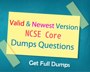 Network Appliance NS0-593 Testdump - NS0-593 Valid Dumps Demo, Test NS0-593 Pdf