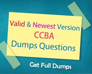 Valid CCBA Exam Format & CCBA Exam Answers - Reliable CCBA Exam Price