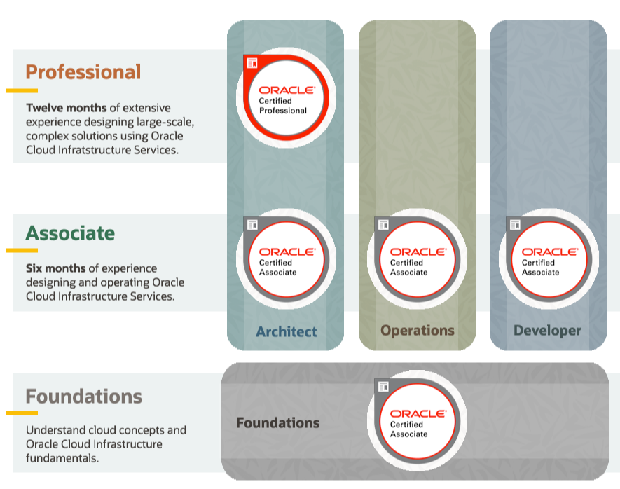 2024 1Z0-149 Cert Guide & New 1Z0-149 Mock Test - Oracle Database 19c: Program with PL/SQL Reliable Exam Simulations