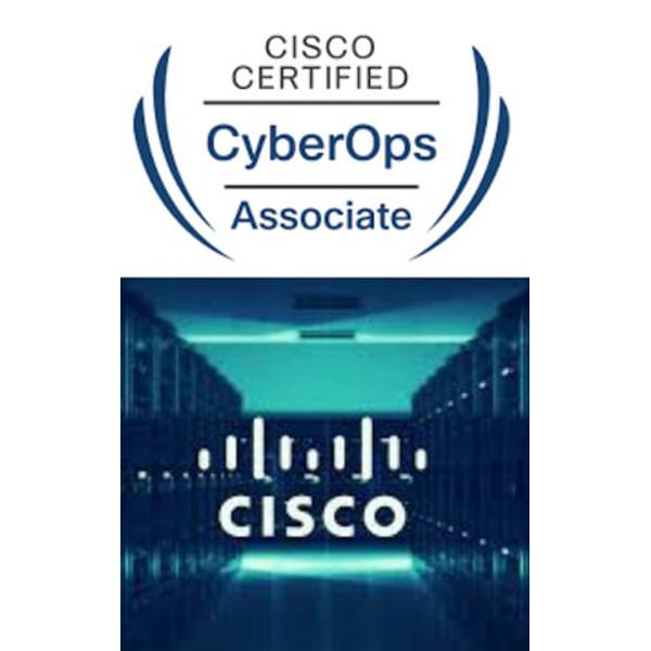 Cisco 200-201 Vce Torrent - 200-201 Discount Code, 200-201 Instant Download