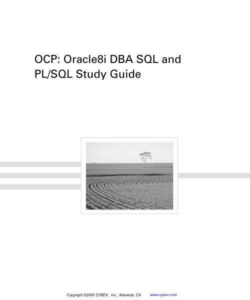 Oracle 1z0-340-22 Reliable Test Topics - Test 1z0-340-22 Study Guide