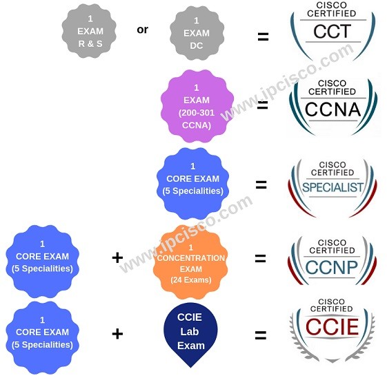 300-610 Pdf Files & Customizable 300-610 Exam Mode - Detailed Designing Cisco Data Center Infrastructure Answers