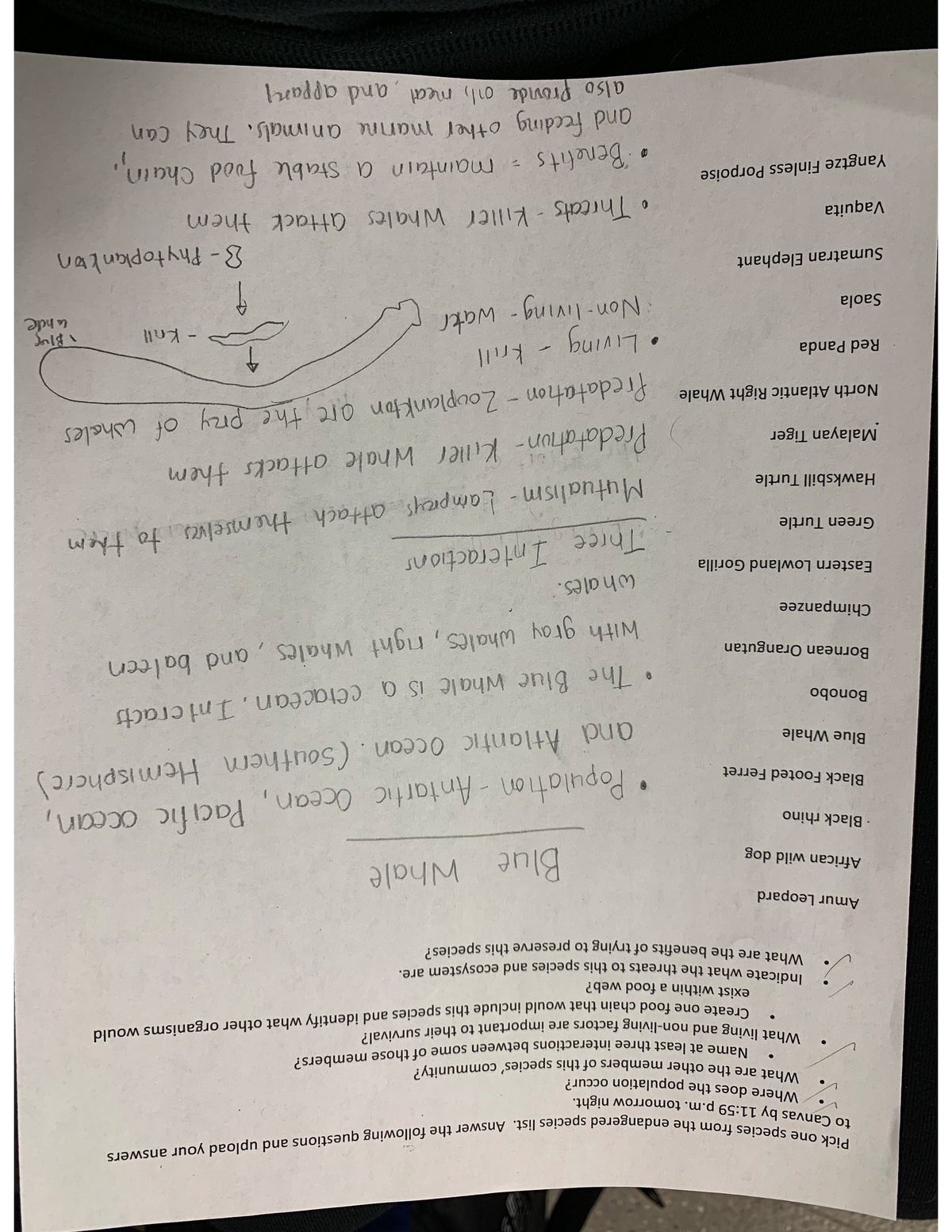 Scrum PSPO-I Valid Test Braindumps, Exam PSPO-I Dump