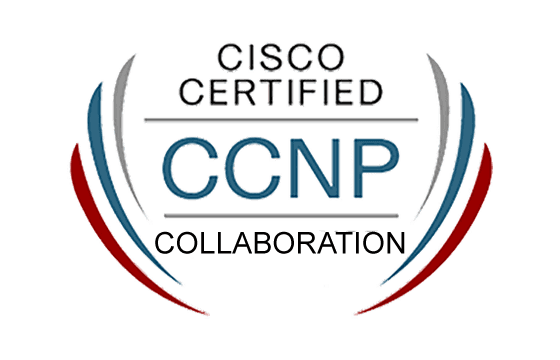 2024 300-620 Real Sheets & Reliable 300-620 Source - Implementing Cisco Application Centric Infrastructure Exam Simulator Free