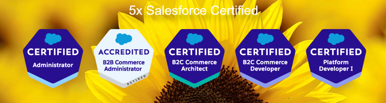 Salesforce B2C-Commerce-Architect Latest Test Labs - Upgrade B2C-Commerce-Architect Dumps