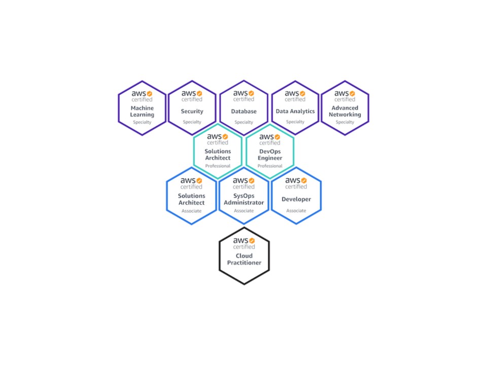 Trustworthy AWS-Certified-Machine-Learning-Specialty Exam Torrent & Amazon AWS-Certified-Machine-Learning-Specialty Study Guides