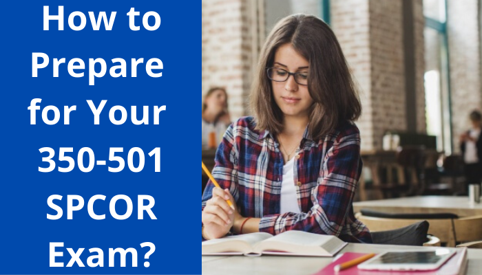 Reliable 350-201 Exam Preparation & Cisco Practice 350-201 Exam Fee