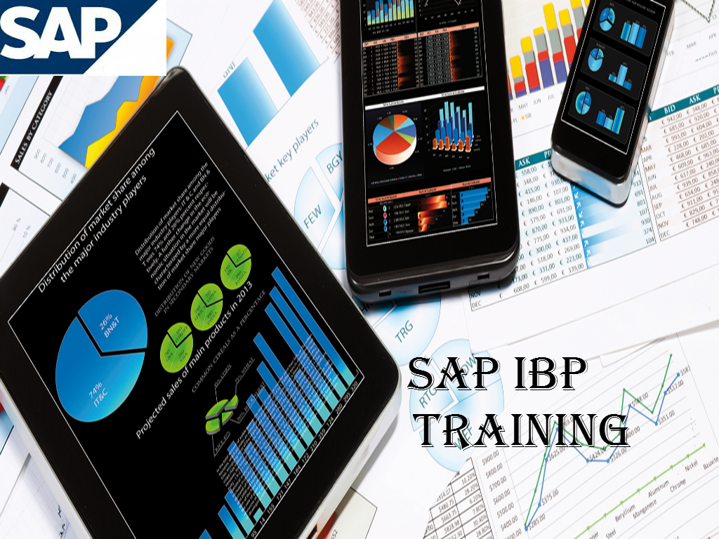 2024 C_IBP_2208 Valid Test Book & C_IBP_2208 Test Registration - New Certified Application Associate - SAP IBP for Supply Chain Dumps Questions