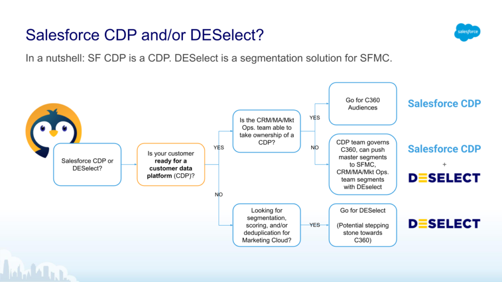 Customer-Data-Platform Reliable Test Testking, Customer-Data-Platform Examcollection Free Dumps