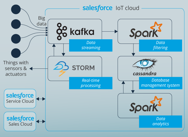 Latest Salesforce-Net-Zero-Cloud Exam Camp | Salesforce-Net-Zero-Cloud Exam Reference & Salesforce-Net-Zero-Cloud Latest Exam Papers