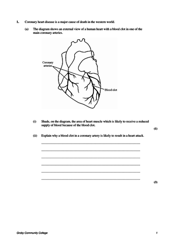 212-82 Reliable Braindumps Files & 212-82 New Study Guide