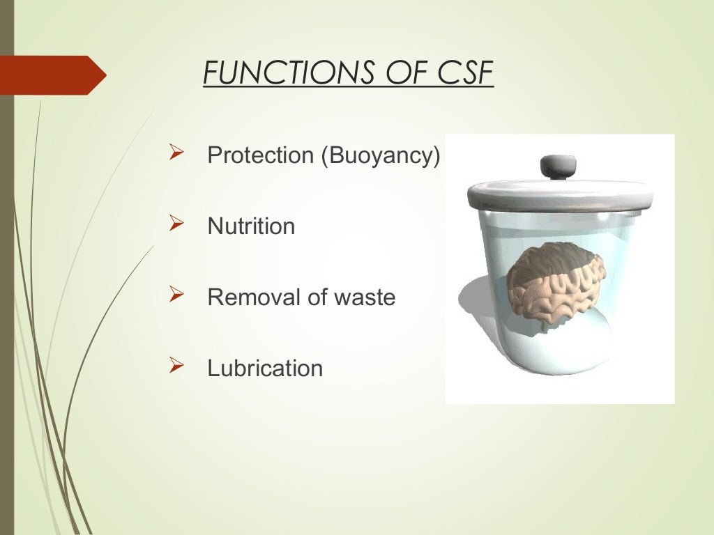 D-CSF-SC-23 New Exam Camp - EMC Valid D-CSF-SC-23 Test Practice