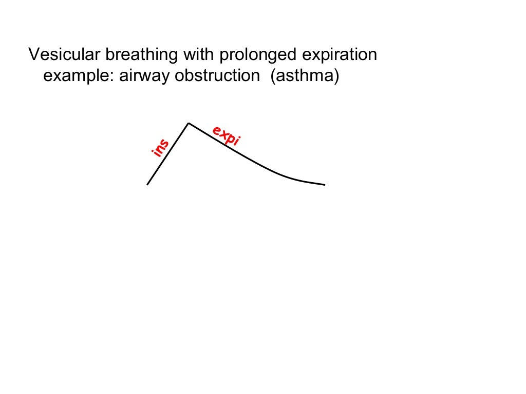 New H19-110_V2.0 Exam Papers | H19-110_V2.0 Exam Cram Pdf & H19-110_V2.0 New Braindumps Questions