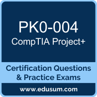 New PK0-004 Braindumps Sheet | PK0-004 Interactive Course & New PK0-004 Dumps Questions