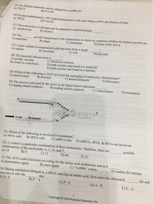 1Z1-083 Latest Test Simulations & 1Z1-083 Latest Braindumps Questions