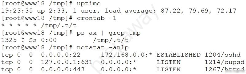 CS0-003 Braindumps Pdf, CS0-003 Valid Test Pdf | Well CompTIA Cybersecurity Analyst (CySA+) Certification Exam Prep