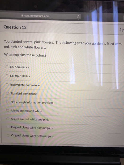 Reliable CCP Dumps Questions - AACE International CCP VCE Dumps