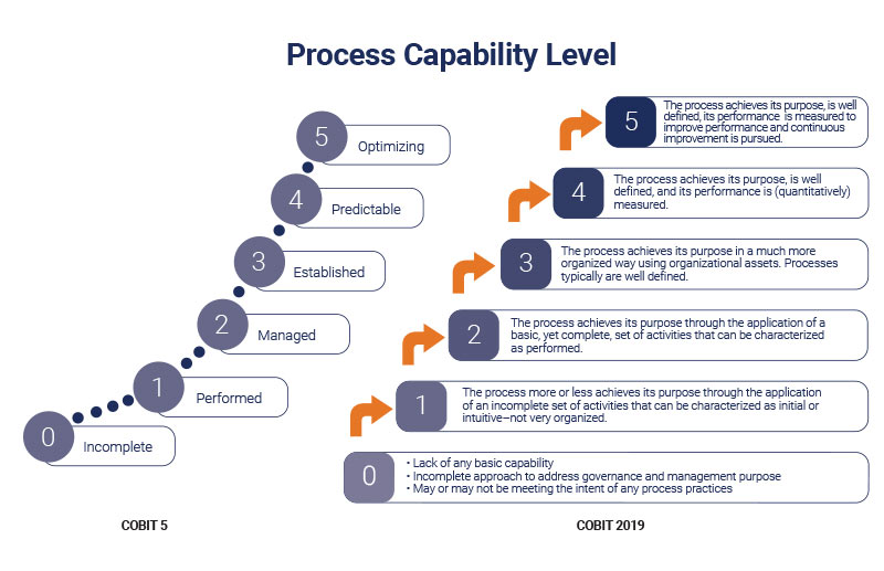 COBIT-2019 Latest Questions, New COBIT-2019 Real Exam | COBIT-2019 Free Practice Exams