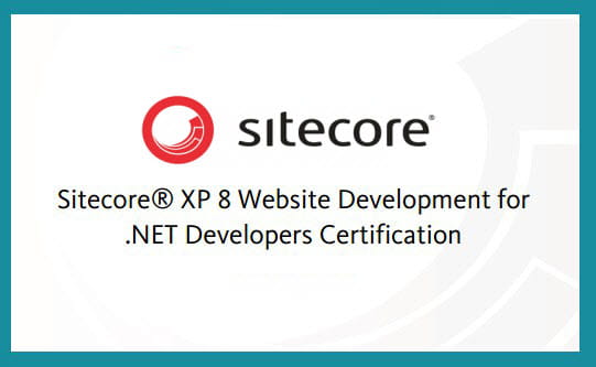 2025 Latest Sitecore-10-NET-Developer Braindumps Pdf, New Sitecore-10-NET-Developer Test Online | New Sitecore 10 .NET Developer Exam Exam Vce