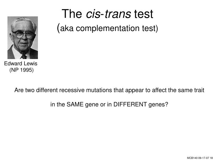 2025 Practice CIS-Discovery Exam Online, Test CIS-Discovery Preparation | Instant Certified Implementation Specialist - Discovery Download