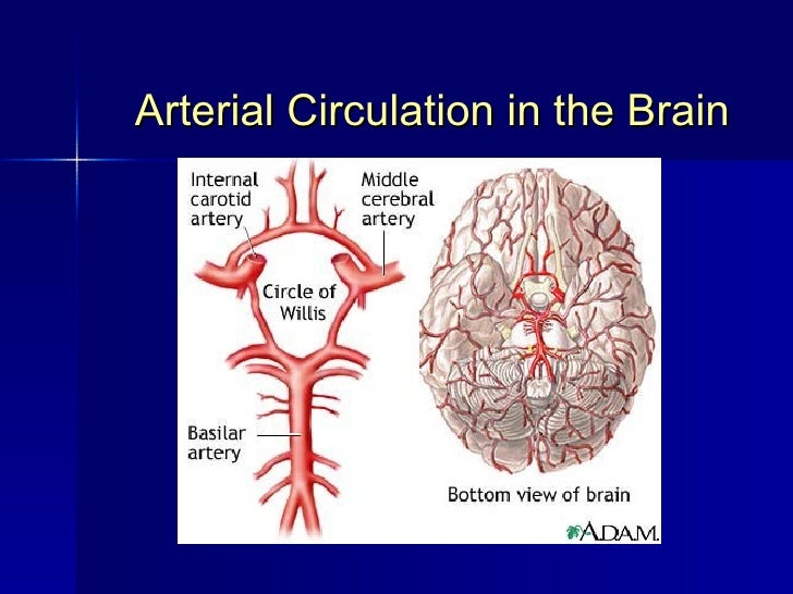 AACN PCCN Reliable Braindumps Free & PCCN Dumps Download