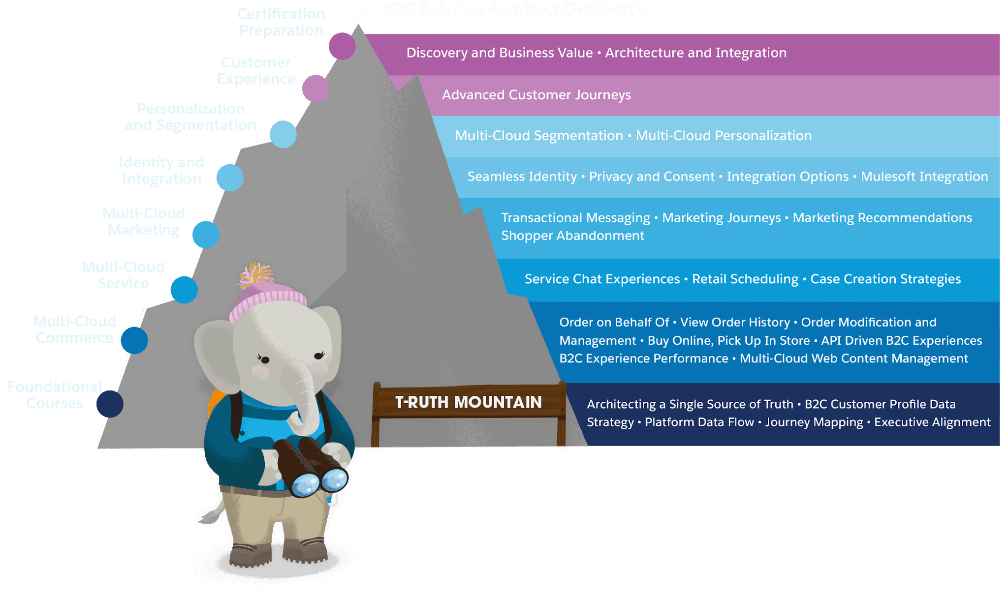 Salesforce Dump B2C-Solution-Architect Torrent - B2C-Solution-Architect Reliable Exam Registration