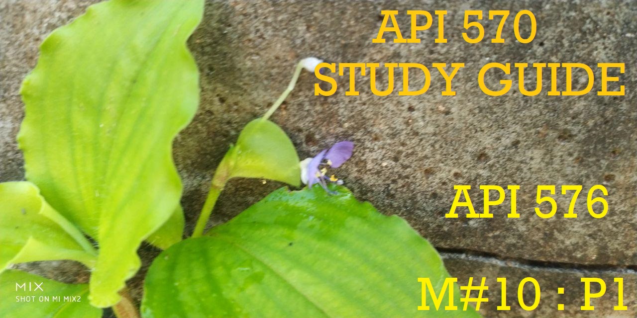 Valid API-570 Exam Online | API-570 New Question & Frequent API-570 Updates