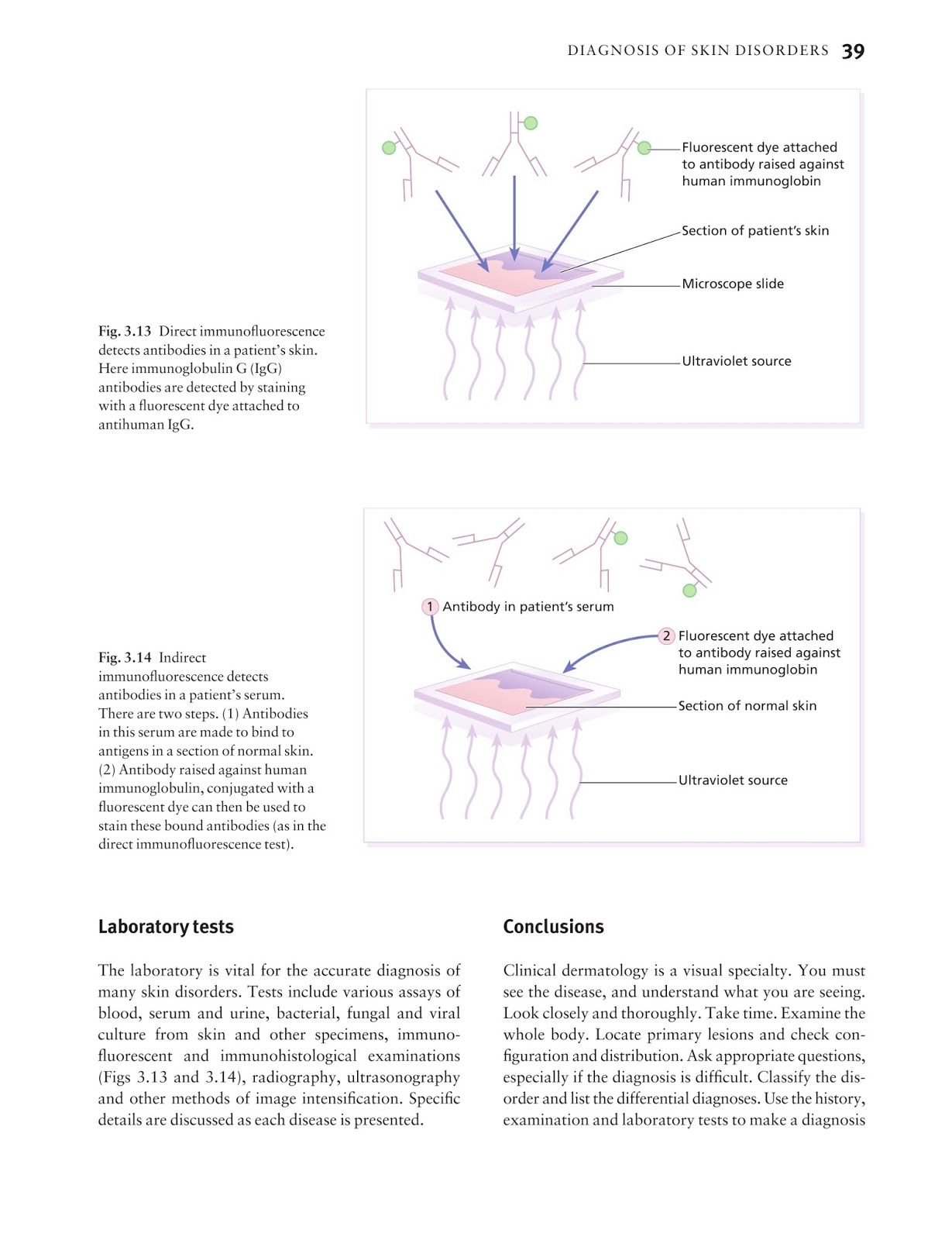 Online 156-315.81 Tests, 156-315.81 Real Braindumps | Exam 156-315.81 Collection