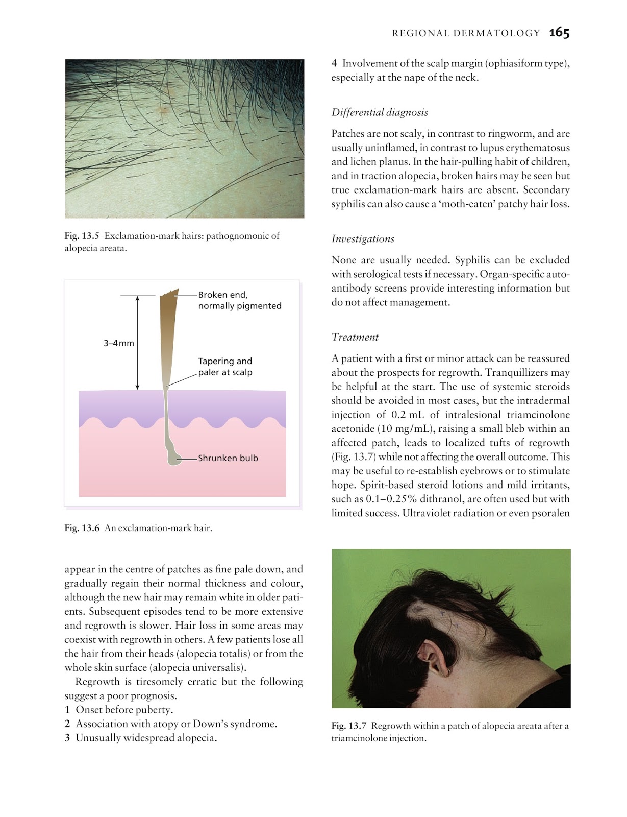 156-315.81 Passguide - CheckPoint 156-315.81 Valid Test Forum, 156-315.81 Braindumps Pdf