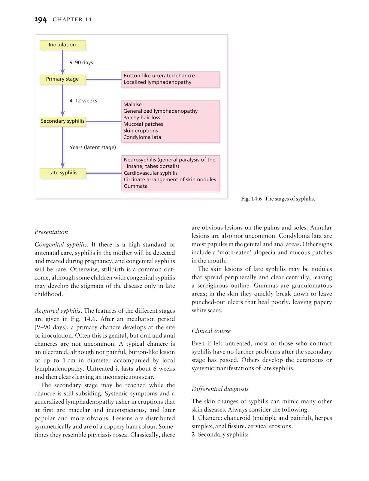 Exam 312-85 Review, 312-85 Interactive Course | Examcollection 312-85 Questions Answers