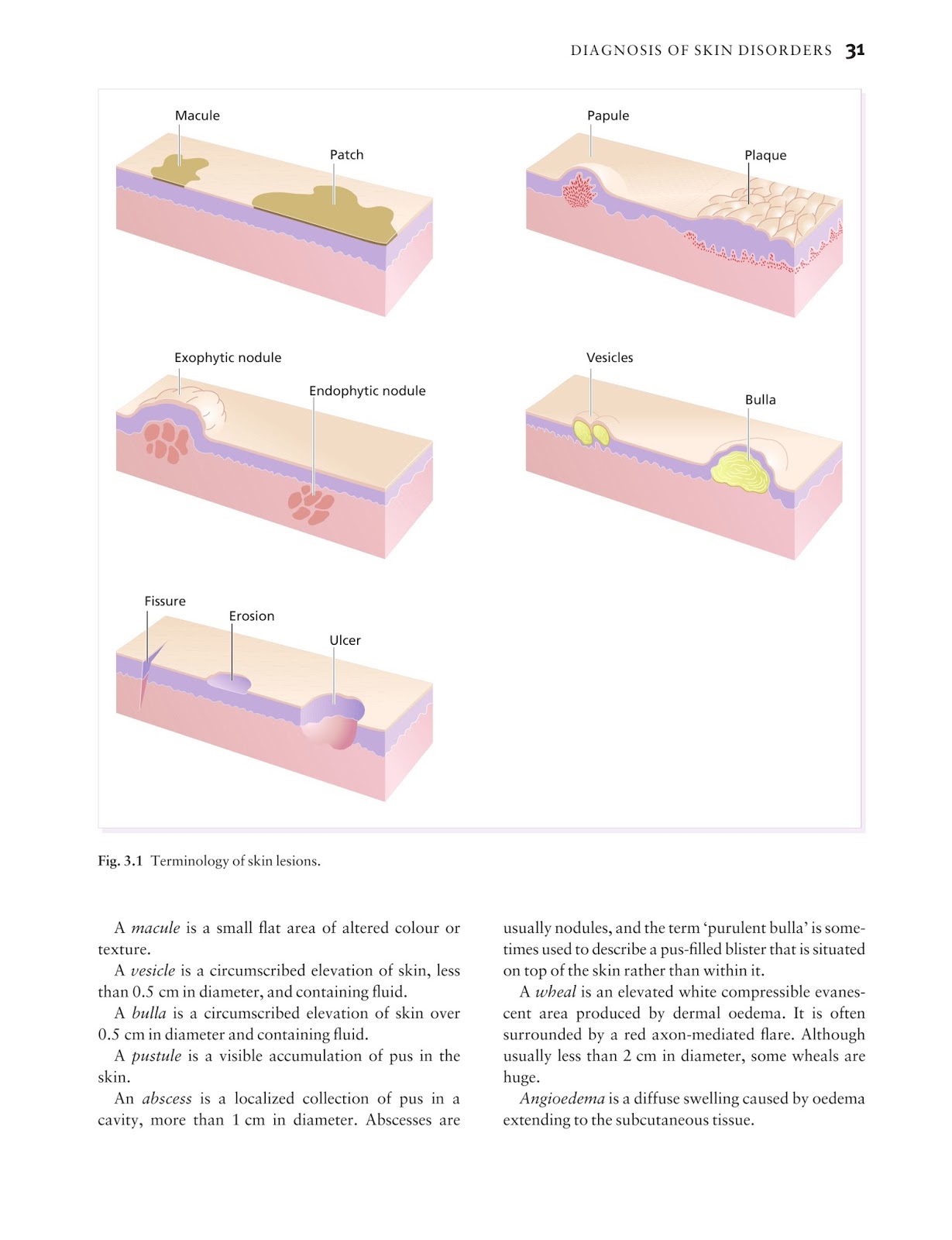 ECCouncil 212-82 Reliable Study Guide - Pdf 212-82 Free