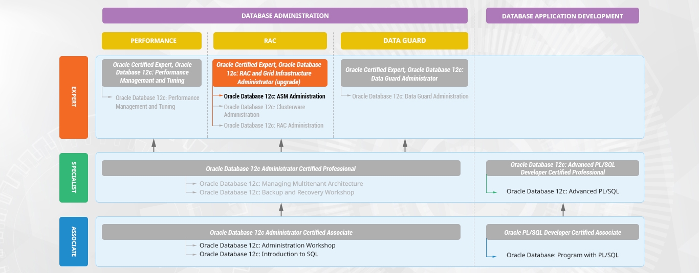 ASM Valid Exam Simulator | Latest ASM Exam Preparation