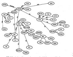 New 700-240 Test Pdf & Valid 700-240 Test Practice - 700-240 Test Question