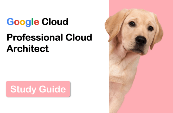 Google Certification Professional-Cloud-DevOps-Engineer Book Torrent & Professional-Cloud-DevOps-Engineer Pass4sure Pass Guide