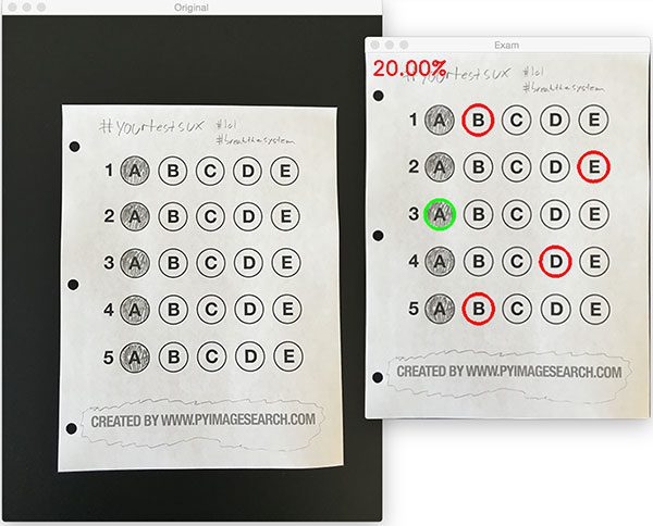 2024 Braindump Professional-Machine-Learning-Engineer Free & Professional-Machine-Learning-Engineer Flexible Testing Engine - Free Google Professional Machine Learning Engineer Exam Dumps