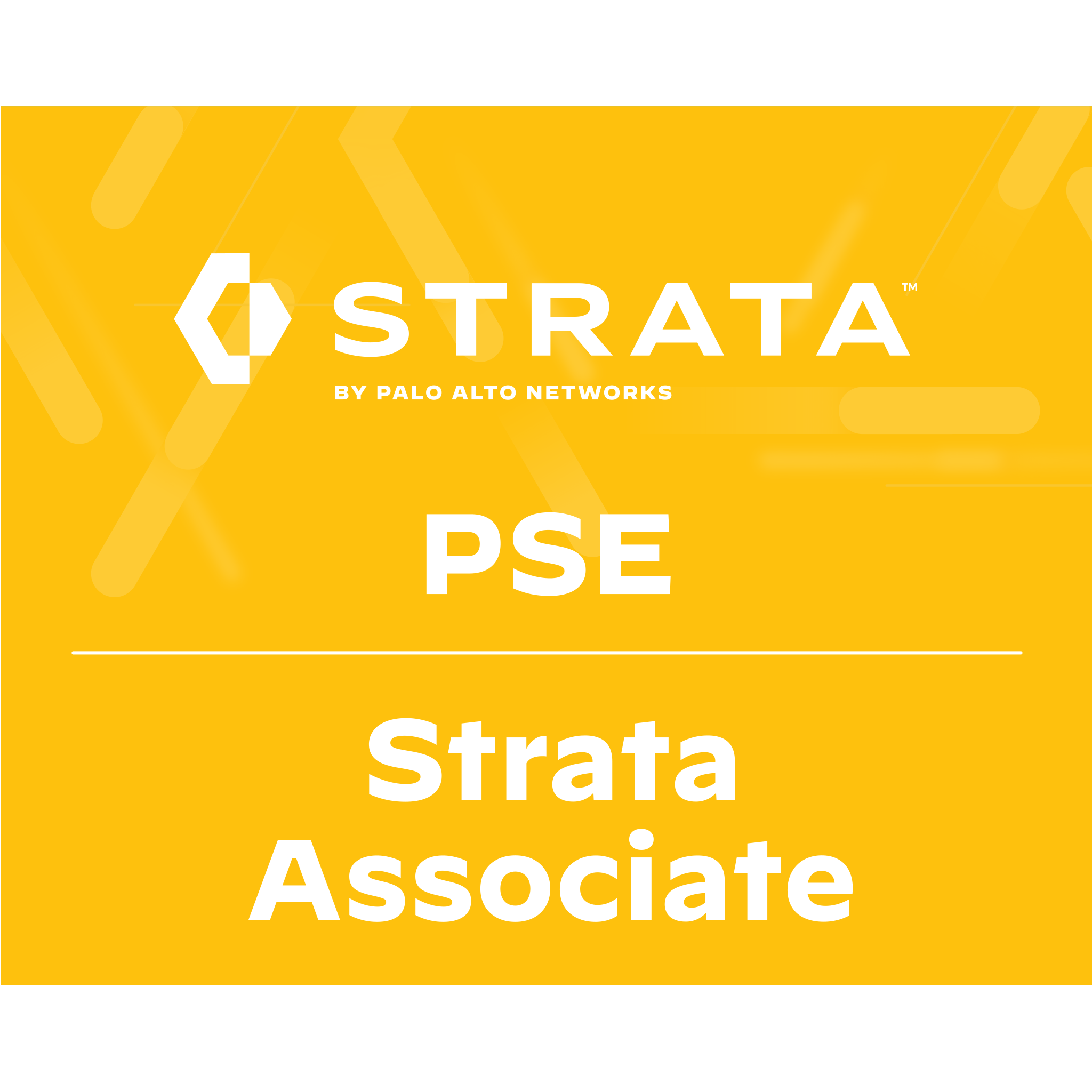 2024 Valid PSE-Strata-Associate Test Labs & New PSE-Strata-Associate Test Blueprint - Palo Alto Networks Systems Engineer (PSE) - Strata Associate Examcollection Dumps Torrent