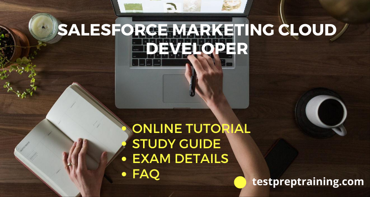 B2B-Commerce-Developer Certification Questions, Latest B2B-Commerce-Developer Study Guide