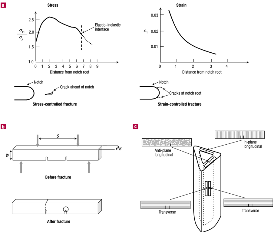 D-DP-DS-23 Free Dump Download & D-DP-DS-23 Testking Exam Questions