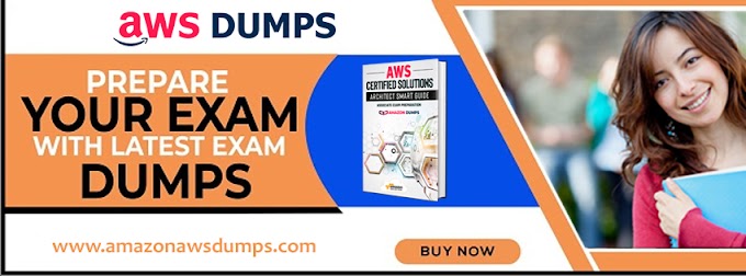 DBS-C01 Exam Objectives - Amazon Exam DBS-C01 Guide, DBS-C01 Dump Collection