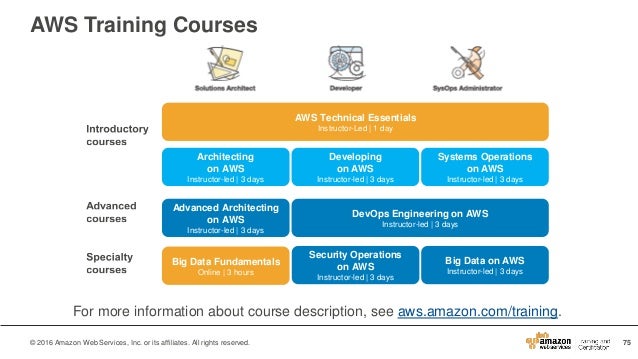 DOP-C02 Actual Exams - Reliable DOP-C02 Test Review, Test DOP-C02 Collection Pdf