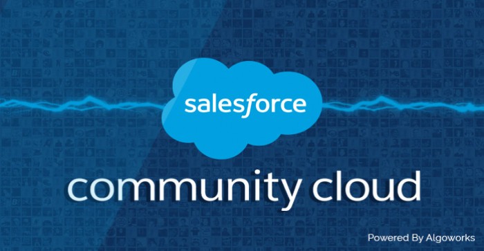 Salesforce Community-Cloud-Consultant Dumps, Community-Cloud-Consultant Testdump | Community-Cloud-Consultant Vce Test Simulator