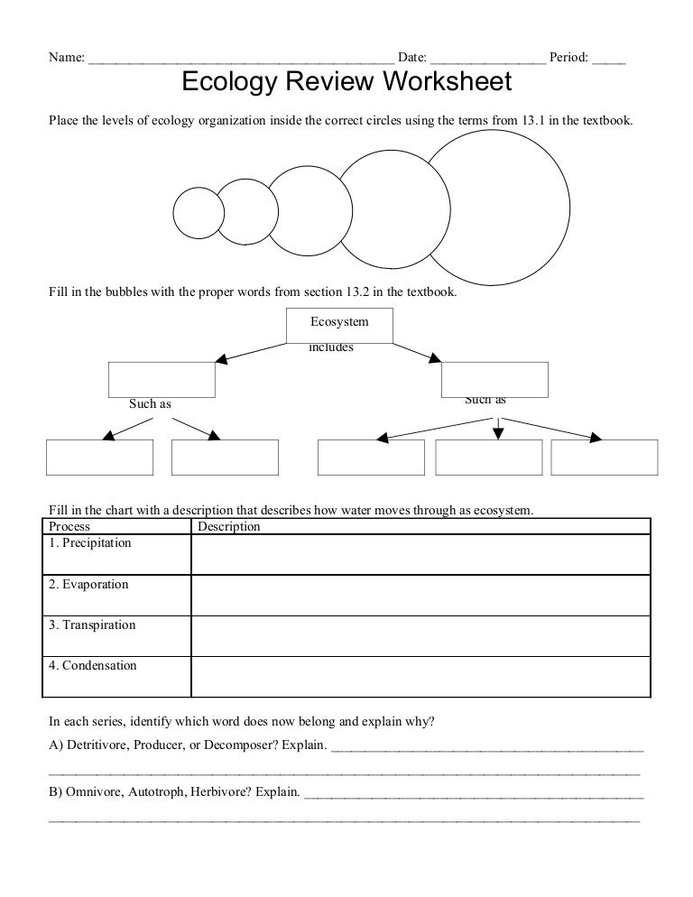 EEB-101 Examcollection Dumps Torrent - Latest EEB-101 Study Plan