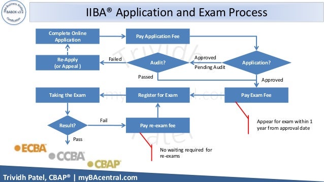 Reliable CCBA Braindumps Ppt & IIBA CCBA Interactive EBook