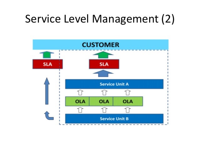 Latest ITIL-4-Transition Test Practice - Cert ITIL-4-Transition Guide, ITIL-4-Transition Exam Simulations