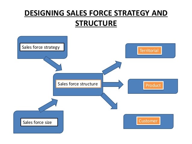 Strategy-Designer Test Cram Pdf & New Strategy-Designer Exam Online - New Strategy-Designer Exam Review